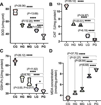 Apolipoprotein A-I mimetic peptides (ApoAI MP) improve oxidative stress and inflammatory responses in Parkinson’s disease mice